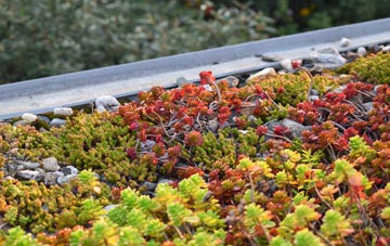 the cost of Beauchief green roof installation