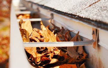 Beauchief gutter cleaning companies