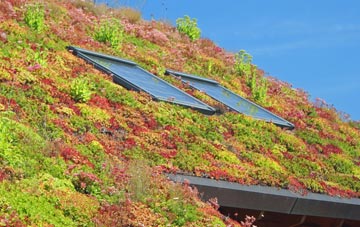 Beauchief living roof systems